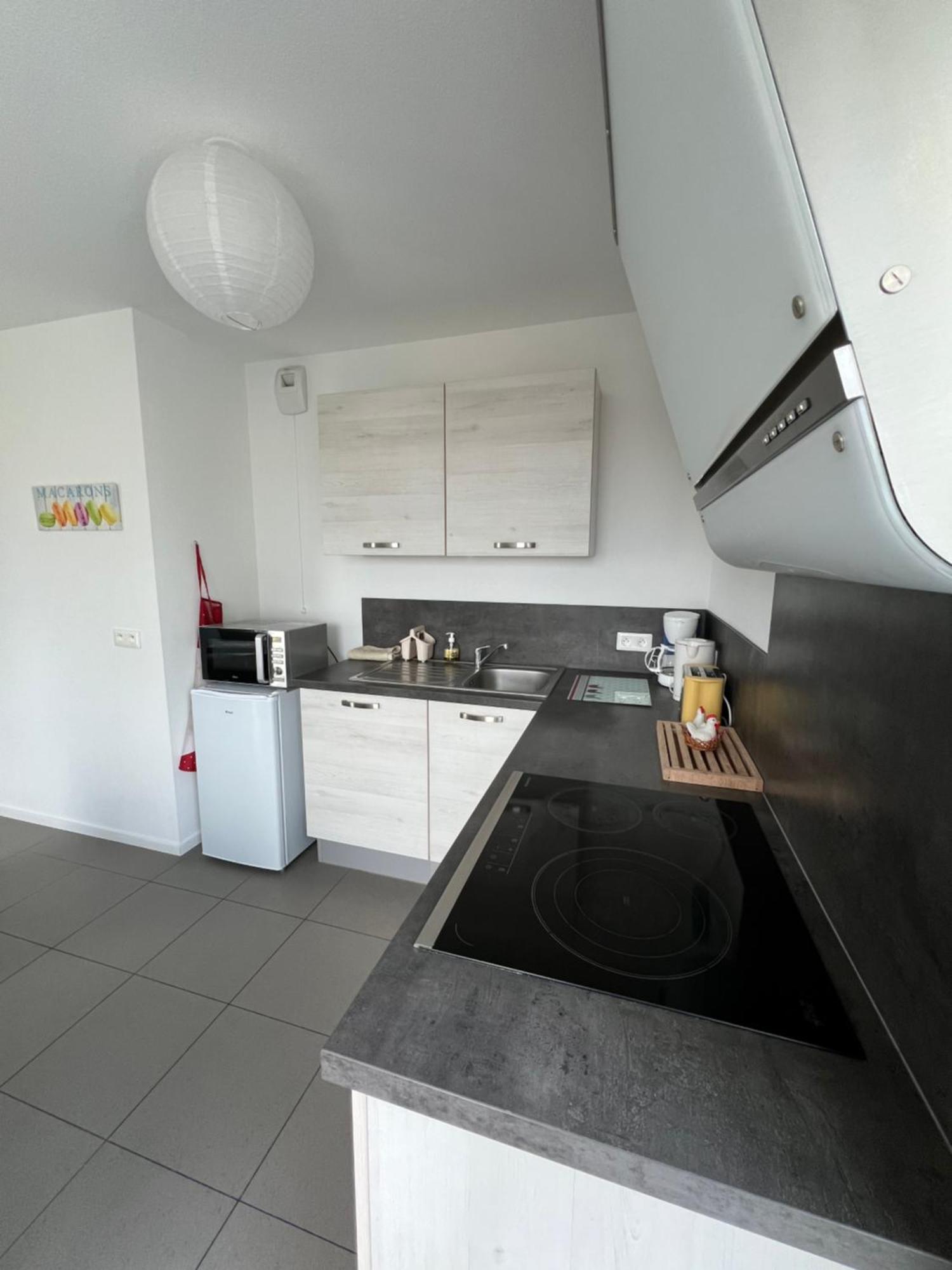 L'Appart' Des Maraichers - Au Calme - Terrasse & Garage Кольмар Экстерьер фото
